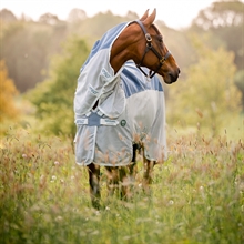 Horseware Amigo Ameco Combi insektdækken regntæt ryg